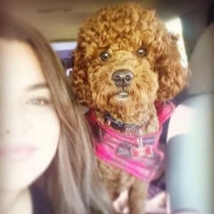 Meet your Posher, Cynthia